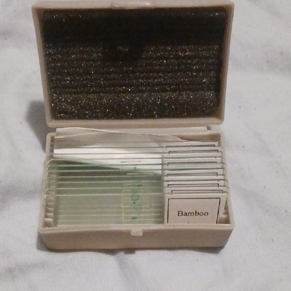 Microscope Slide Set for Kids